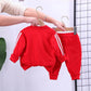Autumn Chic: Adorable Cotton Zipper Jacket + Pants 2pcs Set for Baby Girls - Trendy Tracksuit for Your Little Fashionista! - IRRAKIDS